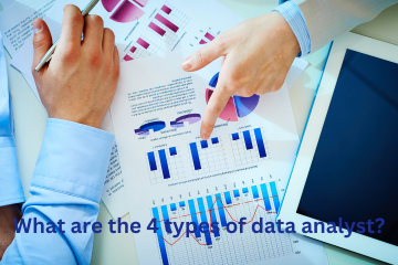 What are the 4 types of data analyst?